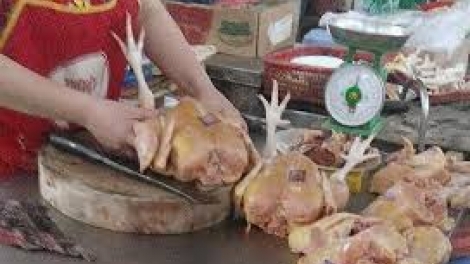 Nguồn gốc gà không đầu được bán giá rẻ. (2/12/2016)