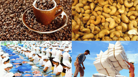 Tiêu chuẩn chất lượng, yếu tố hàng đầu cho xuất khẩu nông, thủy sản (08/12/2016)