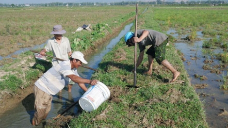 Dự thảo luật Thủy lợi với những quy định có lợi cho dân (15/12/2016)