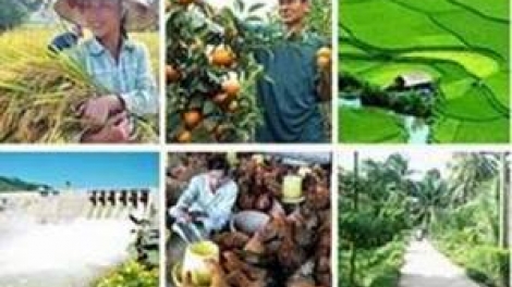 Chương trình nông thôn mới: Người dân là chủ thể của chương trình và được hưởng lợi từ chương trình (6/12/2016)