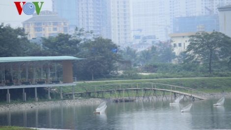 Quản lý chặt chẽ đất công để tránh tham nhũng, lãng phí (26/12/2016)