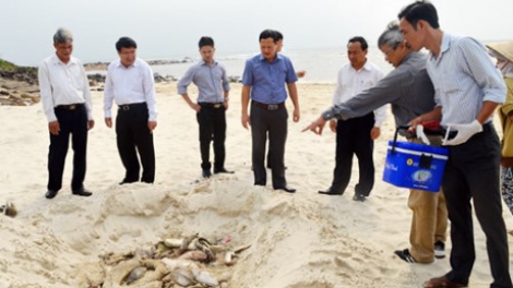 Không thể đánh đổi môi trường lấy phát triển kinh tế. (28/4/2016)