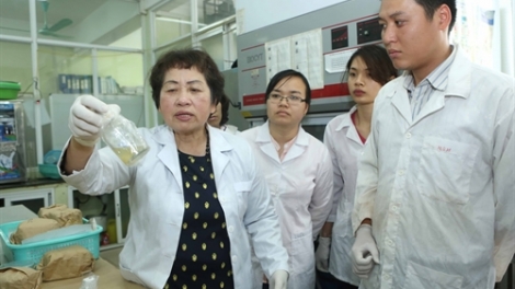 Phó Giáo sư - Tiến sĩ Đặng Thị Cẩm Hà với những mong mỏi sớm đưa ứng dụng công nghệ vào cuộc sống. (26/4/2016)