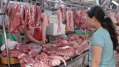 Sabutamol chất độc cho cơ thể (18/4/2016)