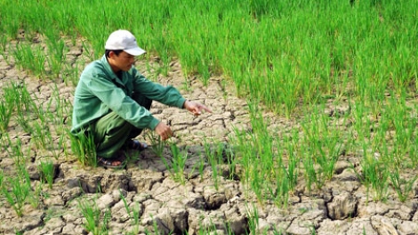Ứng phó với thiên tai do tác động của biến đổi khí hậu. (22/5/2016)