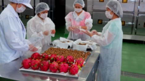 Ứng dụng khoa học công nghệ trong công nghệ bảo quản sau thu hoạch để nâng cao giá trị hàng nông sản xuất khẩu (27/5/2016)
