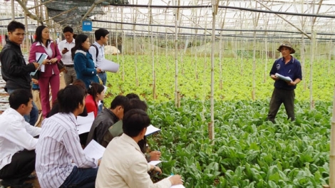 Lâm Đồng thay đổi tư duy trong sản xuất nông nghiệp để thích ứng với biến đổi khí hậu. (27/5/2016)