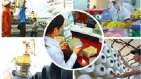 Để thực sự đồng hành cùng doanh nghiệp (18/5/2016)