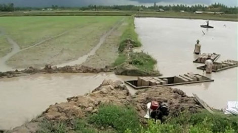 Bán đất mặt ruộng, phá đi sinh kế lâu dài. (24/5/2016)