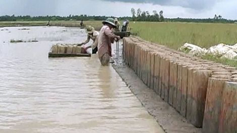 Bán đất mặt ruộng, lợi bất cập hại (19/5/2016)