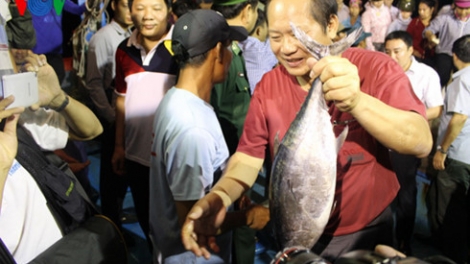 Các địa phương bắt đầu triển khai thu mua cá cho ngư dân miền Trung. Bộ Công thương thành lập đường dây nóng để tiếp nhận thông tin và hỗ trợ ngư dân trong việc thu mua, tiêu thụ thủy hải sản nuôi trồng và đánh bắt bảo đảm an toàn (Thời sự trưa 01/5/2016)
