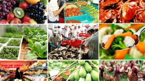 Kết nối giữa các bên là yêu cầu cấp thiết trong chuỗi sản xuất nông sản, thực phẩm an toàn. (24/5/2016)
