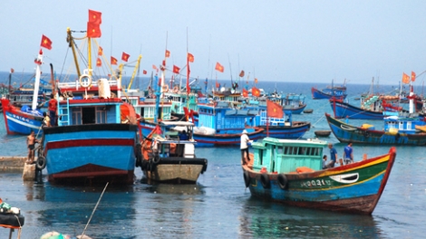 Phát triển kinh tế ven biển phải gắn với đảm bảo môi trường. (30/5/2016)