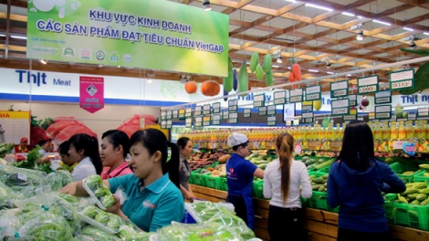 Địa chỉ xanh cho rau an toàn. (11/5/2016)