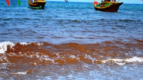 Nước biển chuyển màu đỏ ở Quảng Bình: có phải do thủy triều đỏ? (6/5/2016)