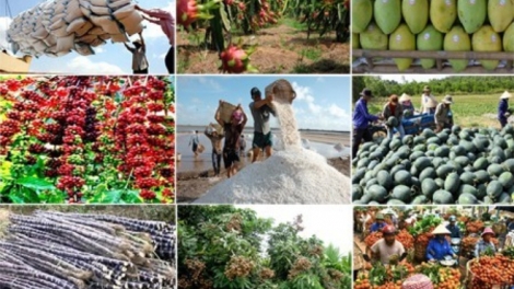 Đẩy mạnh đầu tư công nghệ bảo quản sau thu hoạch để nâng cao giá trị nông sản Việt Nam (17/5/2016)