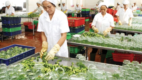 Xây dựng thương hiệu nông sản Việt Nam- Những việc cần làm. (3/5/2016)