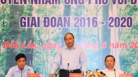Thủ tướng Nguyễn Xuân Phúc yêu cầu các địa phương kiên quyết đóng cửa rừng tự nhiên để bảo vệ rừng. (Thời sự trưa 20/6/2016)