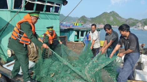 Hướng dẫn ngư dân đảm bảo an toàn lao động trên biển. (29/6/2016)