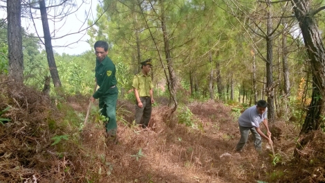 Phòng chống cháy rừng: Còn những nỗi lo (27/6/2016)
