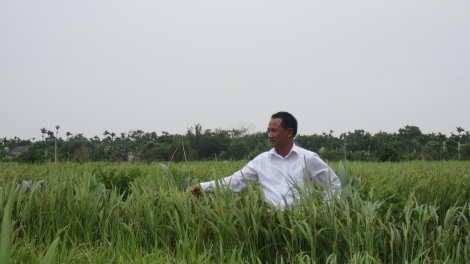 Doanh nhân Đoàn Văn Sáu và cái bắt tay giữa doanh nghiệp và nông dân. (15/6/2016)