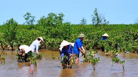 Ứng phó với biến đổi khí hậu ở đồng bằng sông Cửu Long, cần lồng ghép giới trong các hoạt động (7/6/2016)