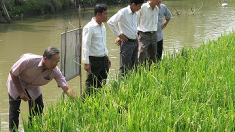 Tây Nguyên chuyển đổi cây trồng vùng hạn thích ứng với biến đổi khí hậu. (23/6/2016)