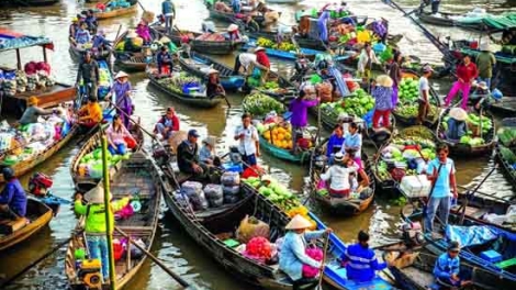 Đồng bằng sông Cửu Long giá trái cây tăng cao, nhà vườn phấn khởi (2/6/2016)