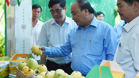 Thủ tướng Nguyễn Xuân Phúc làm việc với lãnh đạo tỉnh Đồng Tháp về tình hình thực hiện nhiệm vụ kinh tế xã hội và bàn các giải pháp khắc phục tình trạng hạn hán, tái cơ cấu nông nghiệp (Thời sự chiều 12/6/2016)