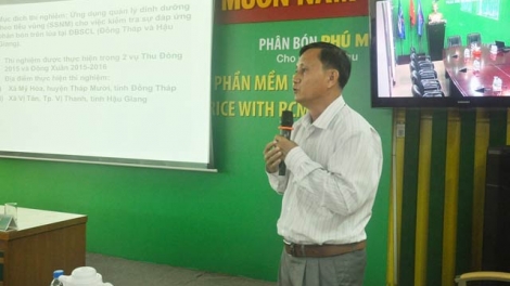 Quản lý dinh dưỡng cho cây lúa bằng phần mềm tiên tiến RCM (9/7/2016)