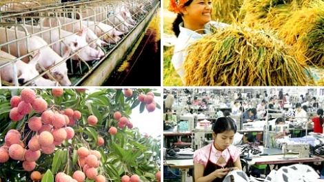Diễn biến của thị trường nước ta trong 6 tháng qua và những giải pháp kích cầu thời gian tới. (13/7/2016)