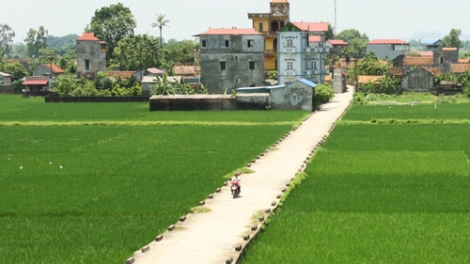 Xây dựng nông thôn mới ở Thủ đô: Lấy người nông dân làm trung tâm. (13/7/2016)