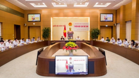100% thành viên trong Hội đồng bầu cử quốc gia bỏ phiếu không xác nhận tư cách đại biểu Quốc hội khóa 14 đối với bà Nguyễn Thị Nguyệt Hường (Thời sự chiều 17/7/2016)