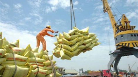 Xuất khẩu gạo của nước ta ở mức thấp nhấp trong vòng 8 năm qua. (Thời sự trưa 20/7/2016)