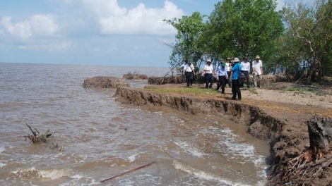 Cà Mau với các giải pháp phòng chống biến đổi khí hậu  (28/8/2016)