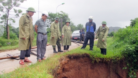 Nông nghiệp Quảng Ninh: Chủ động xây dựng các biện pháp ứng phó với mưa, lũ. (12/8/2016)
