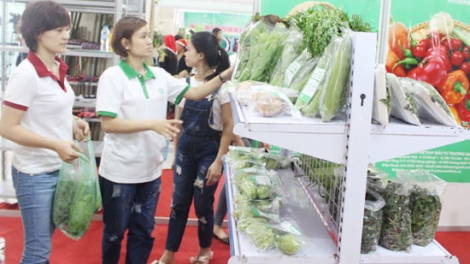 Xây dựng chuỗi sản xuất sạch – Hãy để doanh nghiệp dẫn đường (18/8/2016)