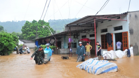 Ngành nông nghiệp các địa phương phía Bắc tiếp tục công tác khắc phục hậu quả mưa lũ (21/8/2016)