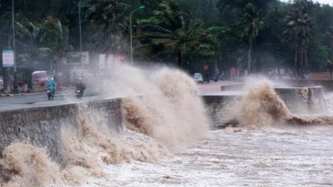 Cần chủ động trong việc dự báo, phòng chống bão (10/8/2016)