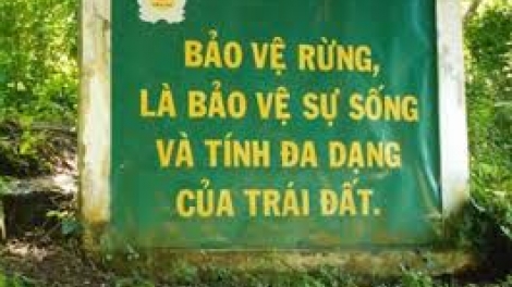Xung đột quyền sử dụng đất lâm nghiệp – điểm nghẽn trong bảo vệ rừng. (03/8/2016)