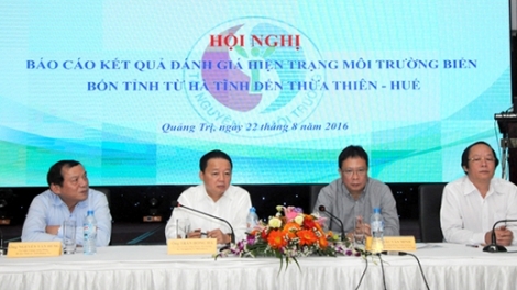 Những tín hiệu tốt từ môi trường biển miền Trung. (29/8/2016)