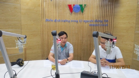 Kỹ thuật trồng bí đỏ hiệu quả cao (17/8/2016)