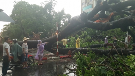 Mưa lũ: Tại sao đã cảnh báo nhưng vẫn thiệt hại nặng? (23/8/2016)