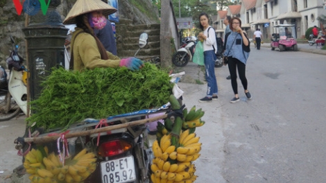 Bảo hiểm xã hội tự nguyện: Nhà nước khuyến khích, lao động thờ ơ (16/8/2016)