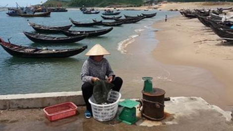 Bồi thường, hỗ trợ thiệt hại sau sự cố Formosa (1/9/2016)