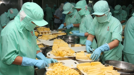 Tăng cường chế biến sâu để nâng cao giá trị nông sản (01/10/2016)