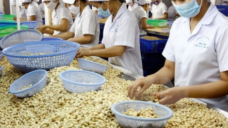 Nghị quyết 35: Thúc đẩy doanh nghiệp phát triển (02/09/2016)