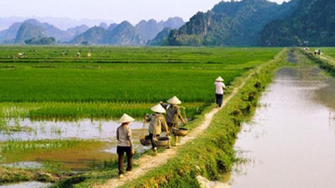 Mở rộng diện miễn thuế đất nông nghiệp (26/9/2016)