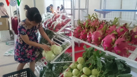 Đẩy mạnh chuỗi liên kết, thúc đẩy ngành nông nghiệp phát triển (30/9/2016)
