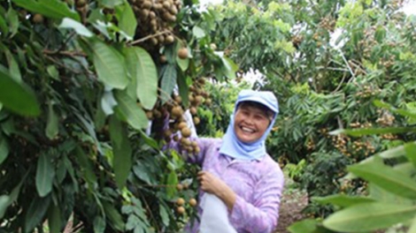 Vì sao doanh nghiệp Việt thờ ơ với nhãn sinh thái (12/9/2016)
